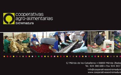 Cooperativas Agro-alimentarias Extremadura