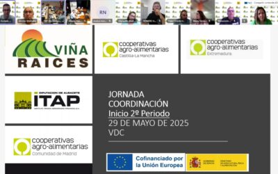Reunión coordinación grupo operativo viña-raíces