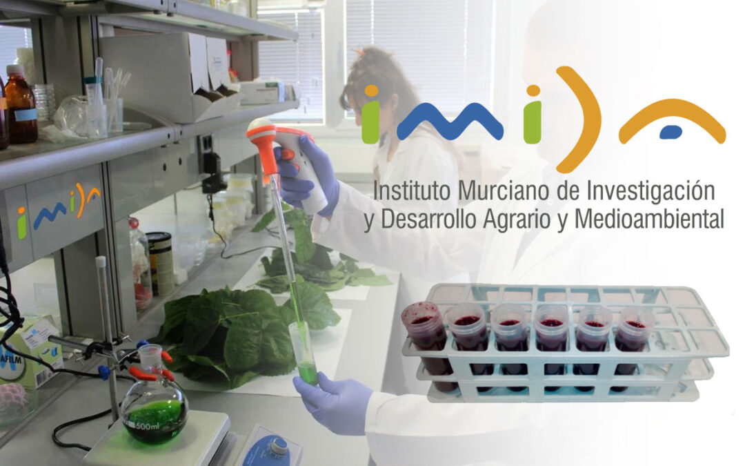 Instituto Murciano de Investigación y Desarrollo Agrario y Medioambiental