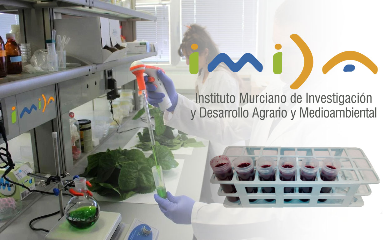Instituto Murciano de Investigación y Desarrollo Agrario y Medioambiental