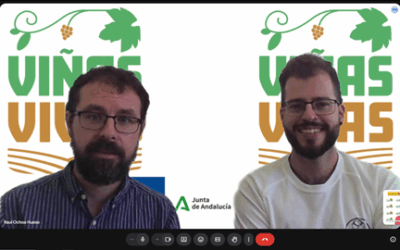 Colaboración entre VIÑA-RAÍCES Y VIÑAS-VIVAS + RECOVER