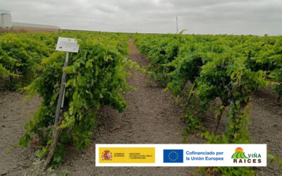 Visita técnica con el grupo de la Universidad de Cádiz (UCA)
