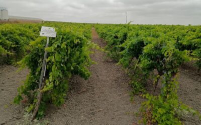 Visita técnica con el grupo de la Universidad de Cádiz (UCA)