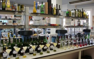 Instituto Madrileño de Investigación y Desarrollo Rural, Agrario y Alimentario