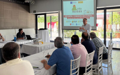 La Comisión Sectorial de Vinos de Cooperativas Agro-alimentarias Castilla-La Mancha conocer los avances del G.O Viña-raíces