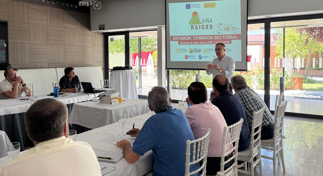 La Comisión Sectorial de Vinos de Cooperativas Agro-alimentarias Castilla-La Mancha conocer los avances del G.O Viña-raíces