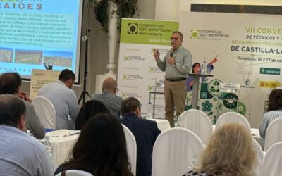 Cooperativas Agro-alimentarias Castilla-La Mancha presenta en su Convención de Técnicos y Técnicas el Proyecto Viña-Raíces