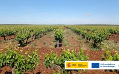 PARCELA DEMOSTRATIVA 02. EXTREMADURA