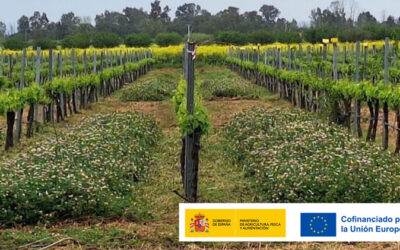 Parcela experimental Extremadura