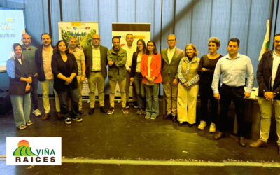 Extremadura impulsa la innovación en viticultura sostenible con los primeros resultados del proyecto “Viña-Raíces”