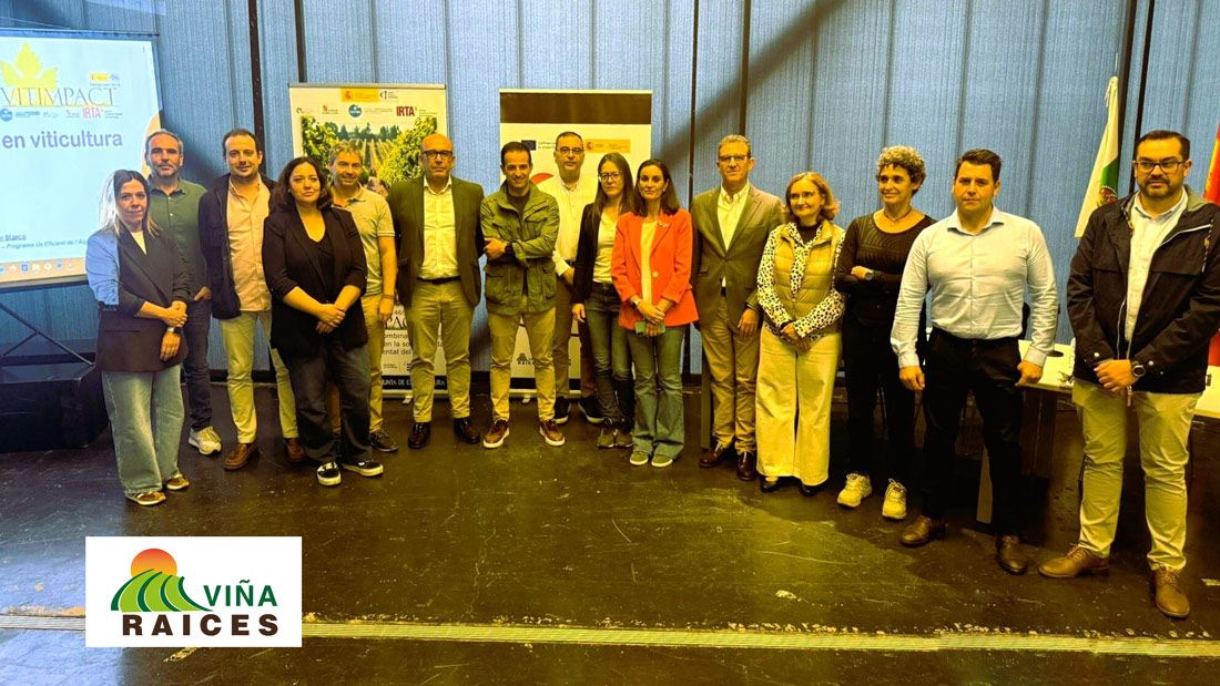 Extremadura impulsa la innovación en viticultura sostenible con los primeros resultados del proyecto “Viña-Raíces”